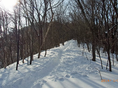 f0083977_20424671.jpg