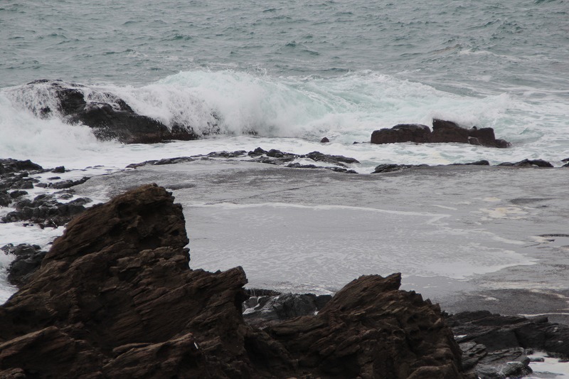 b0207491_11413841.jpg