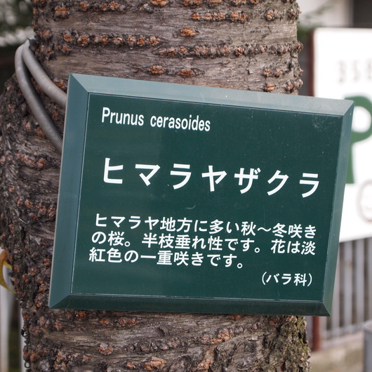 倉敷、大原美術館_a0292194_18201611.jpg