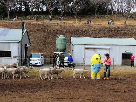 マザー牧場でふなっしー_e0158796_1534764.jpg