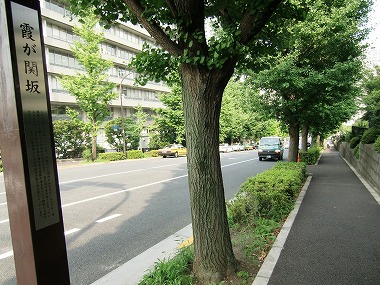 c0187004_1557610.jpg