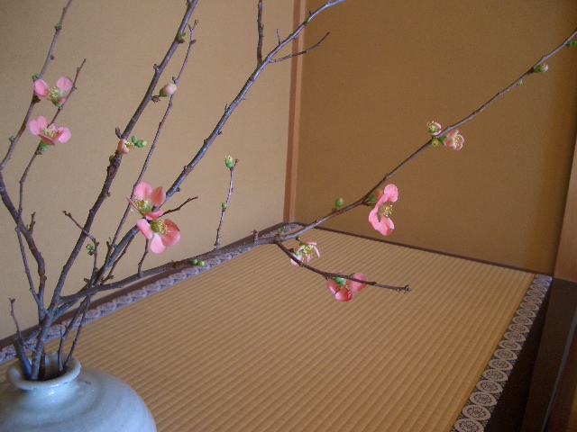 a0056406_104437100.jpg