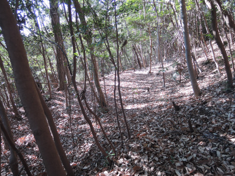 c0051112_16575331.jpg