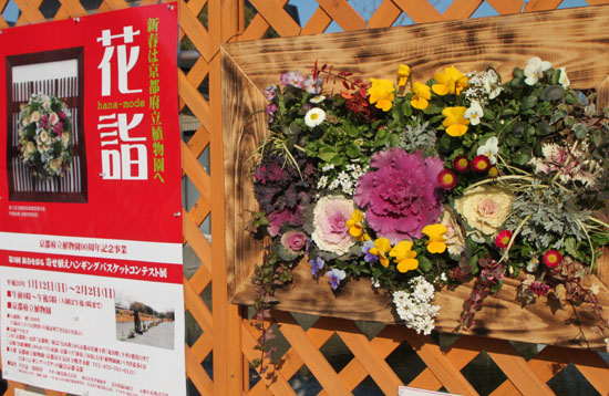 府立植物園 花詣_e0048413_2111824.jpg