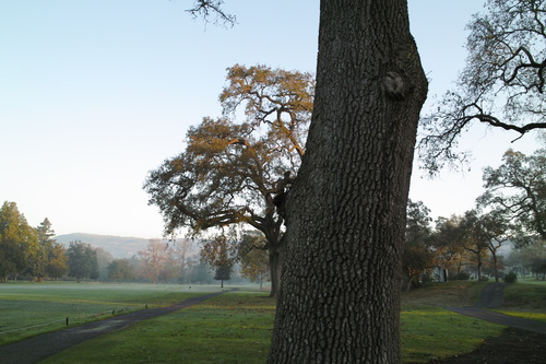 b0285619_2024670.jpg