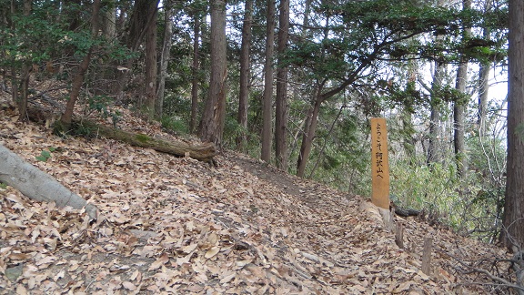 阿武山登山　　２０１４・１・３０_f0000521_14572552.jpg