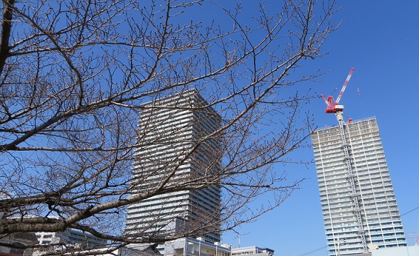 c0280322_17345699.jpg