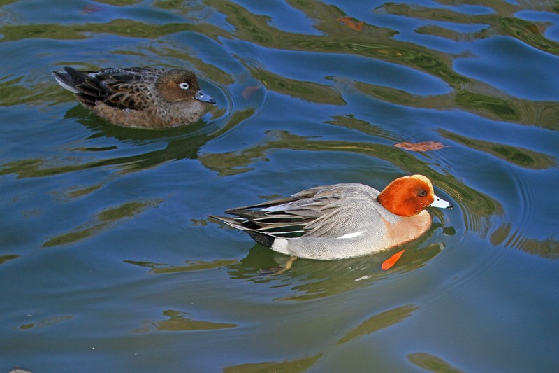 c0104227_95577.jpg