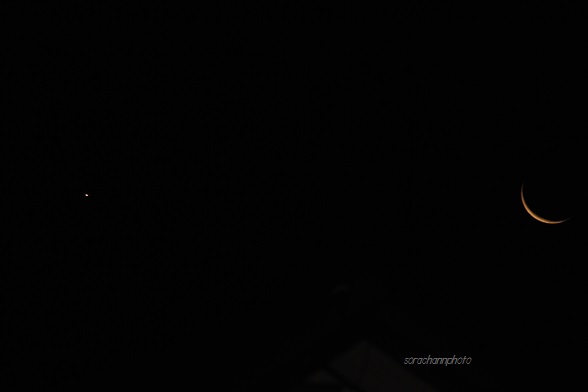 d0237331_21432861.jpg