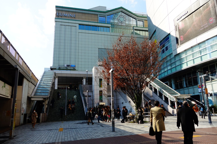 代々木からぶらぶら その3～東京都新宿鎮座 花園神社_a0287336_151023.jpg