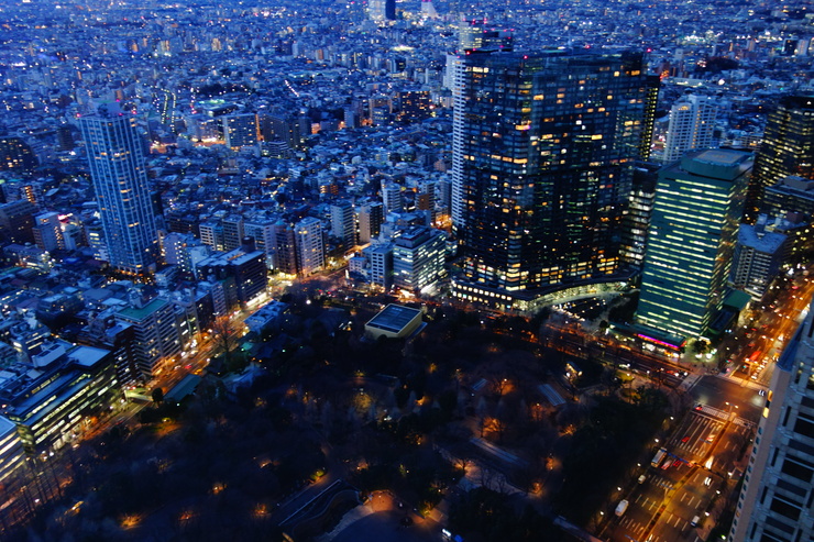 代々木からぶらぶら その6～東京都庁舎からの夜景_a0287336_236069.jpg