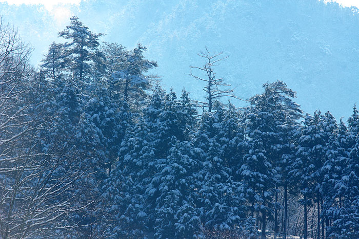 c0067040_22261958.jpg