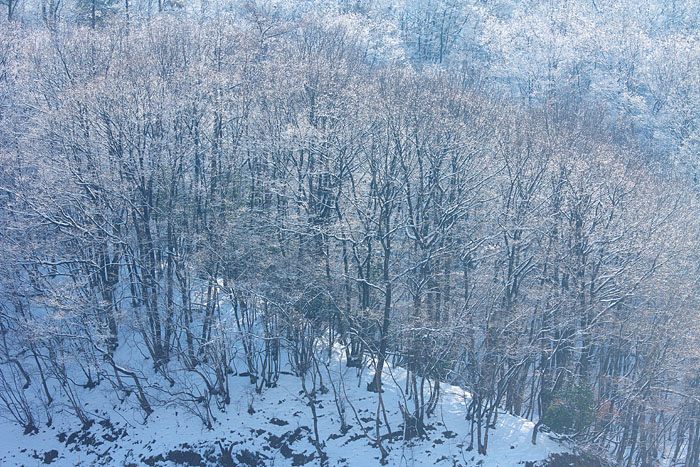 c0067040_22265948.jpg