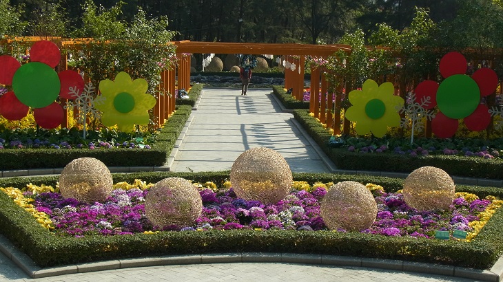 c0164052_154451.jpg