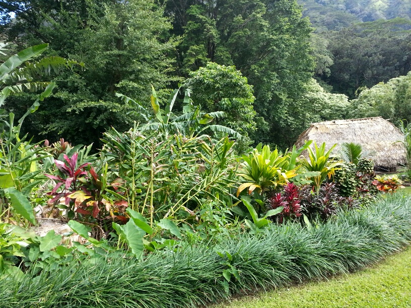 b0126453_5503415.jpg
