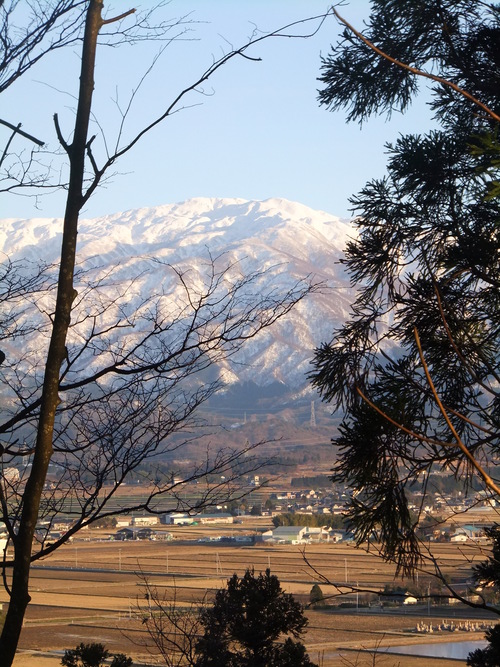 a0215163_2351429.jpg