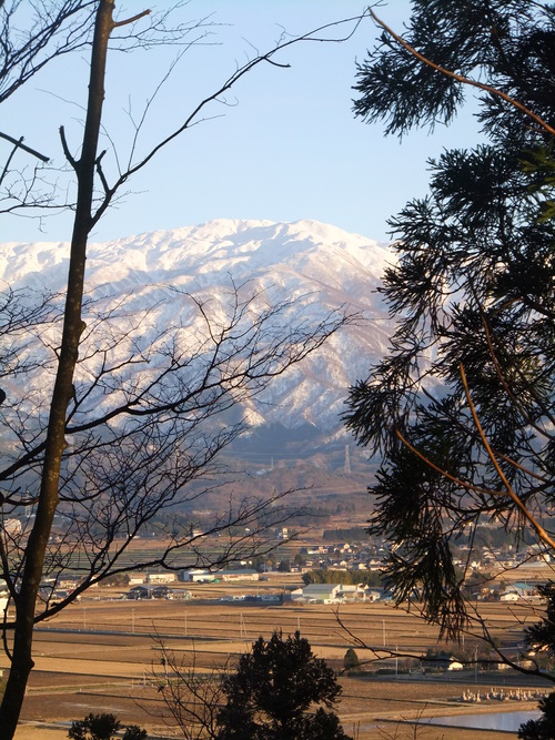 １月の五十公野公園（いじみのこうえん）_a0215163_2351429.jpg