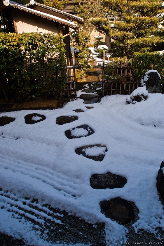 雪景色～大徳寺・瑞峯院_f0102363_1529168.jpg