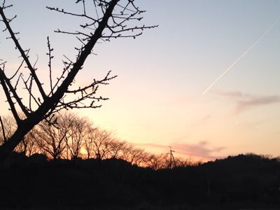 夕焼けこやけで日が暮れて_e0136066_19251255.jpg
