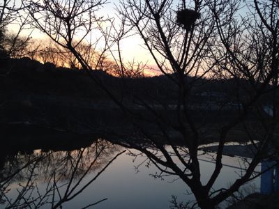 夕焼けこやけで日が暮れて_e0136066_19251475.jpg