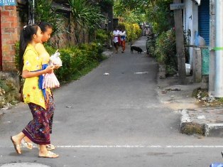 d0083068_10213115.jpg