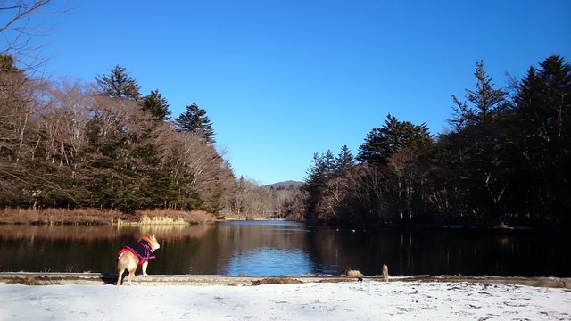 b0274270_1235879.jpg