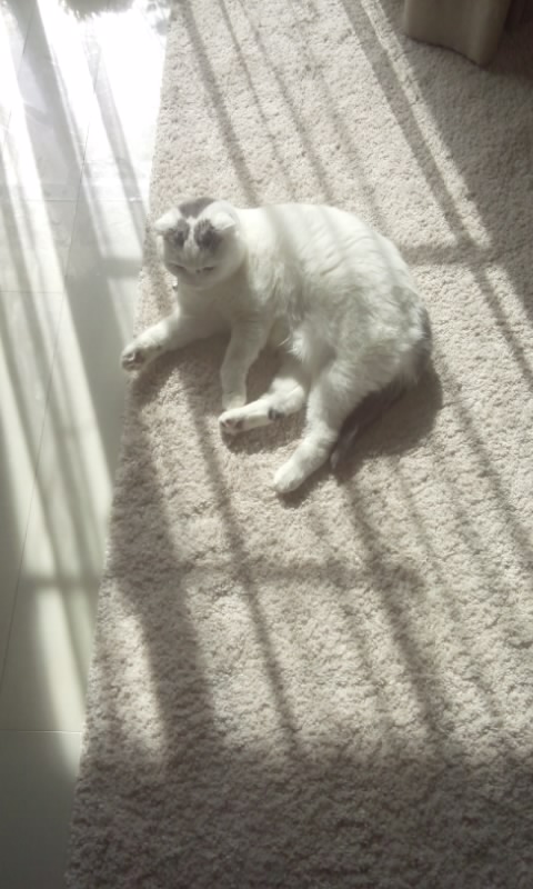 f0200871_0155237.jpg