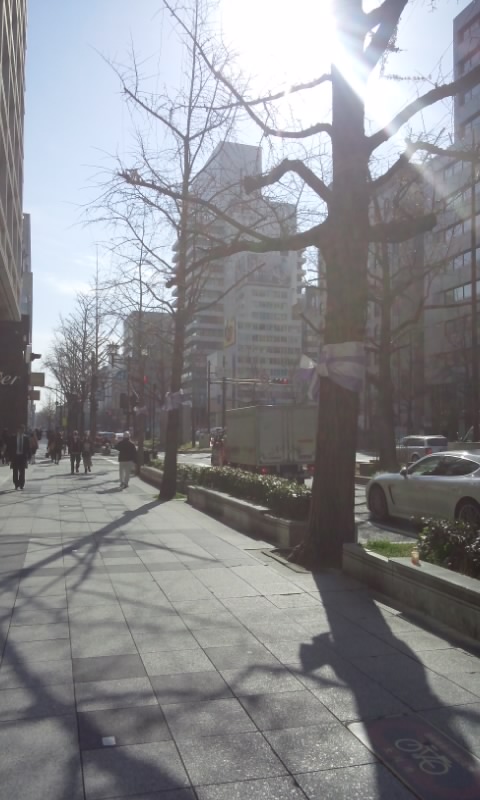 f0200871_0182137.jpg
