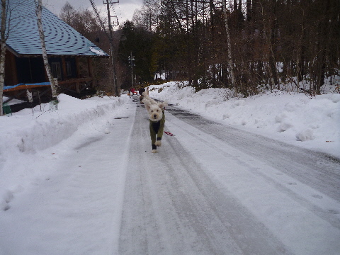 e0161972_7551795.jpg
