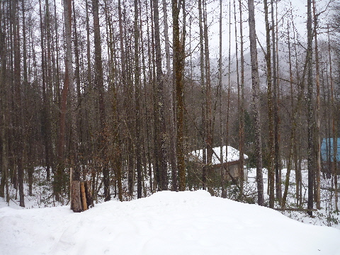 e0161972_933559.jpg