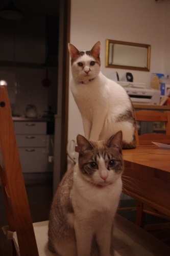 f0238772_20121070.jpg