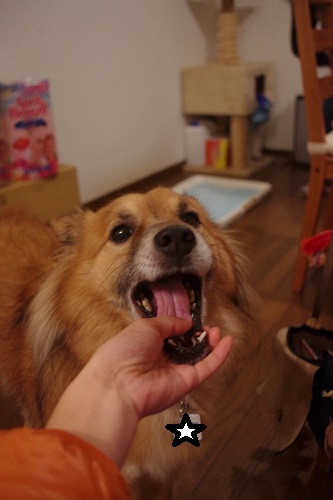f0238772_20121706.jpg