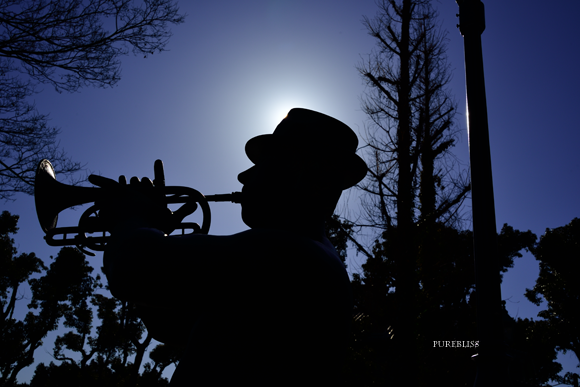 b0243873_10151935.png