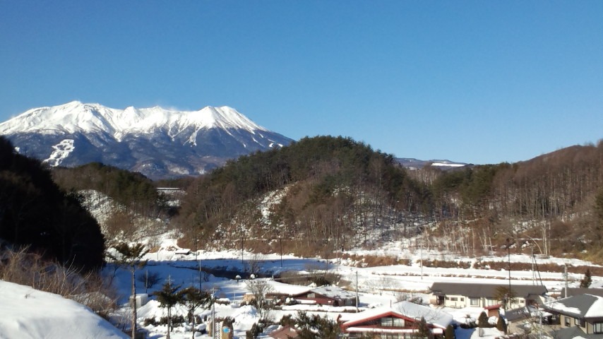 １月２９日、　「朝刊」　朝だけで、５００歩！_a0130586_107075.jpg