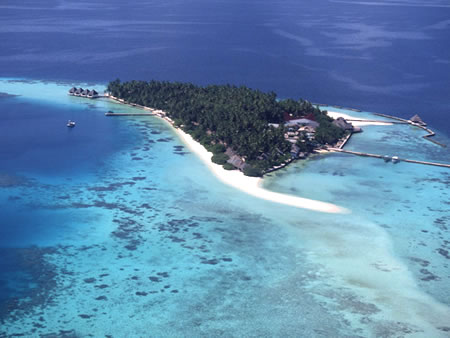 b0123486_13564859.jpg