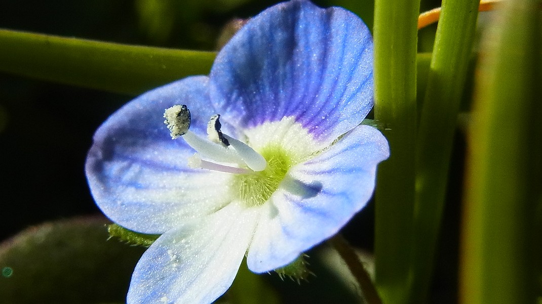 a0152692_1841475.jpg