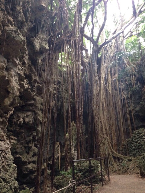 c0229500_12504467.jpg