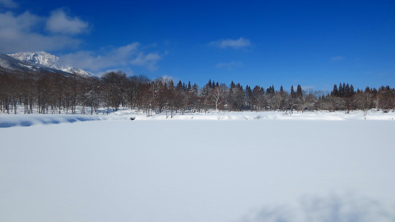 b0163804_13300542.jpg