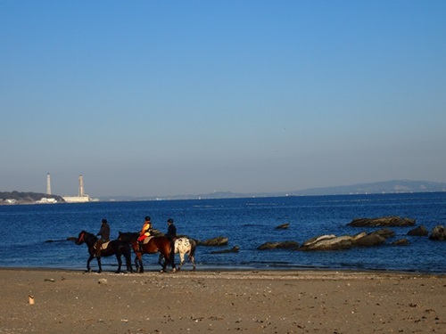 f0254105_02410.jpg