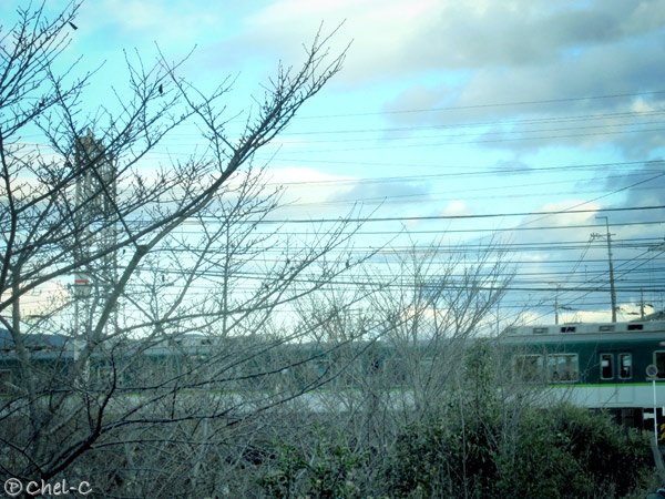 a0154706_12542588.jpg