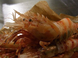 ゴジラエビ_f0157910_13545530.jpg