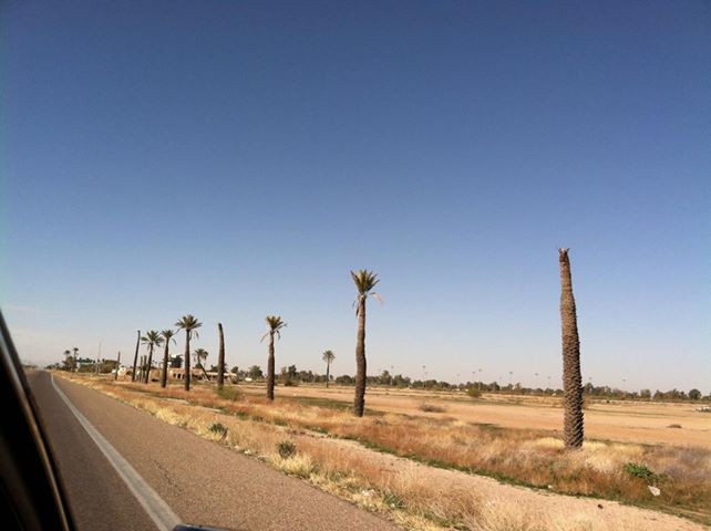 a0144811_130212.jpg