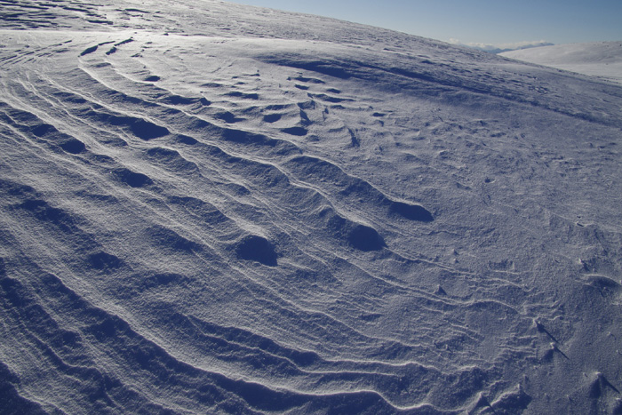 c0110112_23542792.jpg