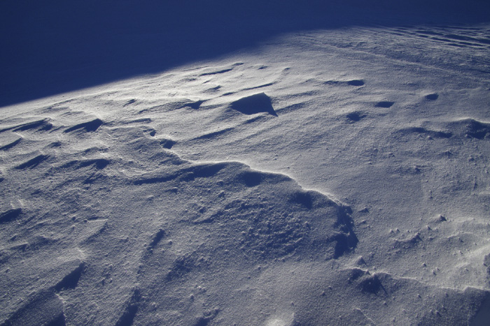 c0110112_2356567.jpg