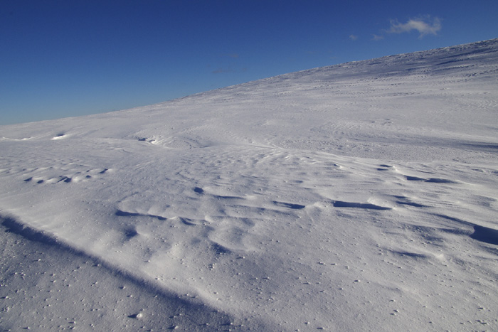 c0110112_23571726.jpg