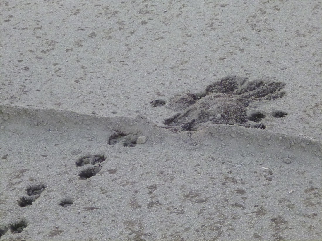 c0280416_21864.jpg