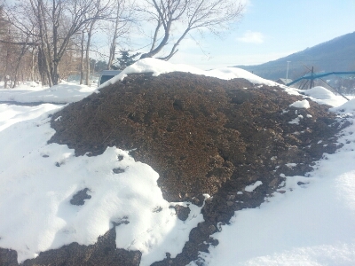 雪が溶けて発酵?_a0256619_21243669.jpg