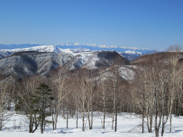 ゲレンデもハイシーズン_d0102327_1057359.jpg
