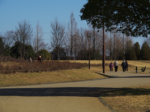 公園へ撮影に_c0077531_21575237.jpg