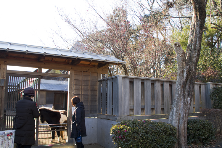 大宮散策...3...護国神社_a0229634_14232822.jpg